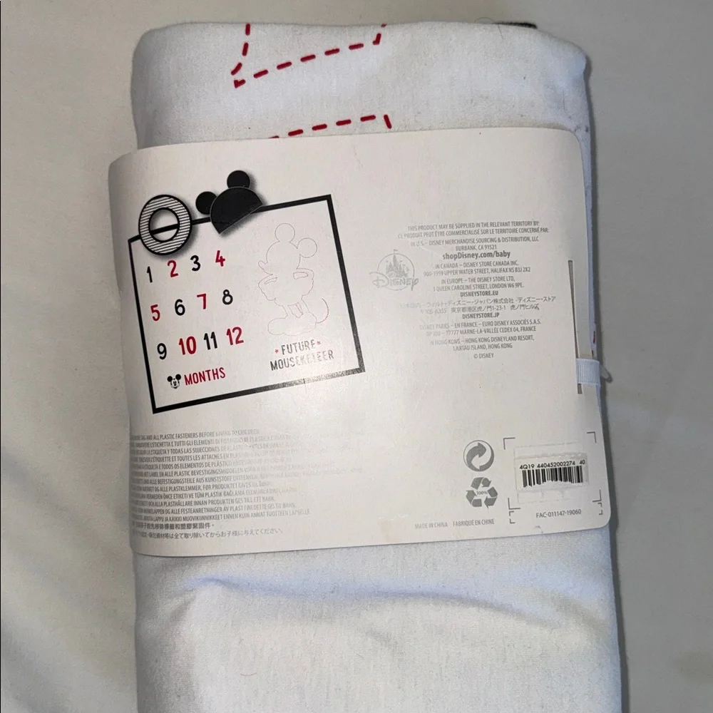 Disney Baby Milestone Blanket